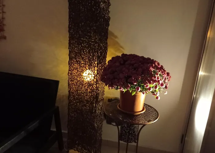 Anamor 408 * לרנקה